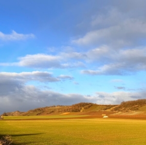 Blick von Wonsheim zum Ajaxturm Siefersheimer Horn
