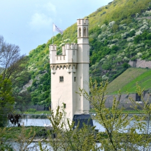 haus verkaufen Bingen